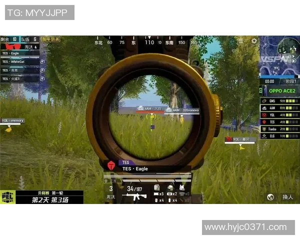 和平精英战术深度解析FPX团队的策略与执行力探讨实时新闻 和平精英战术深度解析FPX团队的策略与执行力探讨实时新闻